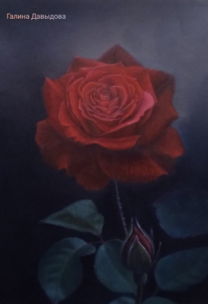 Рисунки учеников с курса Розы маслом